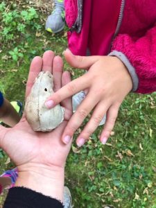 Skull find_Kellogg Trail Fall 2019